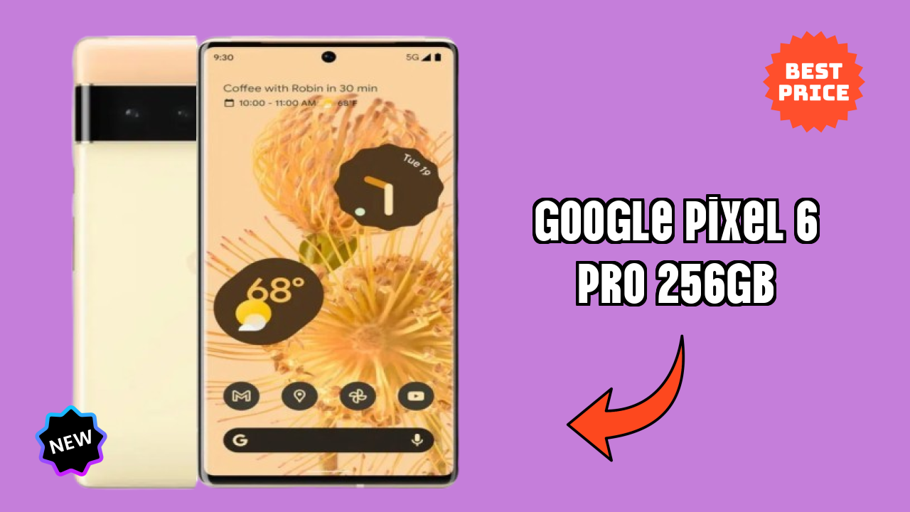 Google Pixel 6 Pro 256GB Camera Test: 50 MP + 12 MP + 48 MP Rear Camera Sample Shots