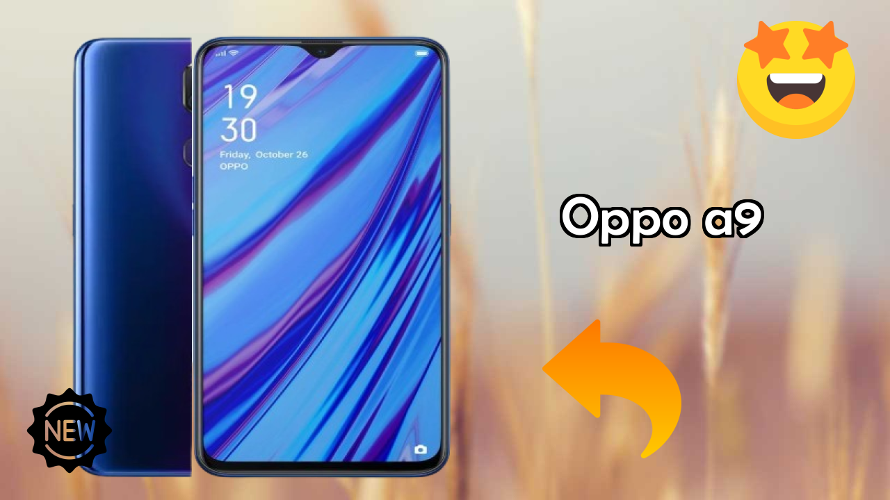 OPPO A9 Display Review: 6.53 Inches (16.59 Cm) Screen Test