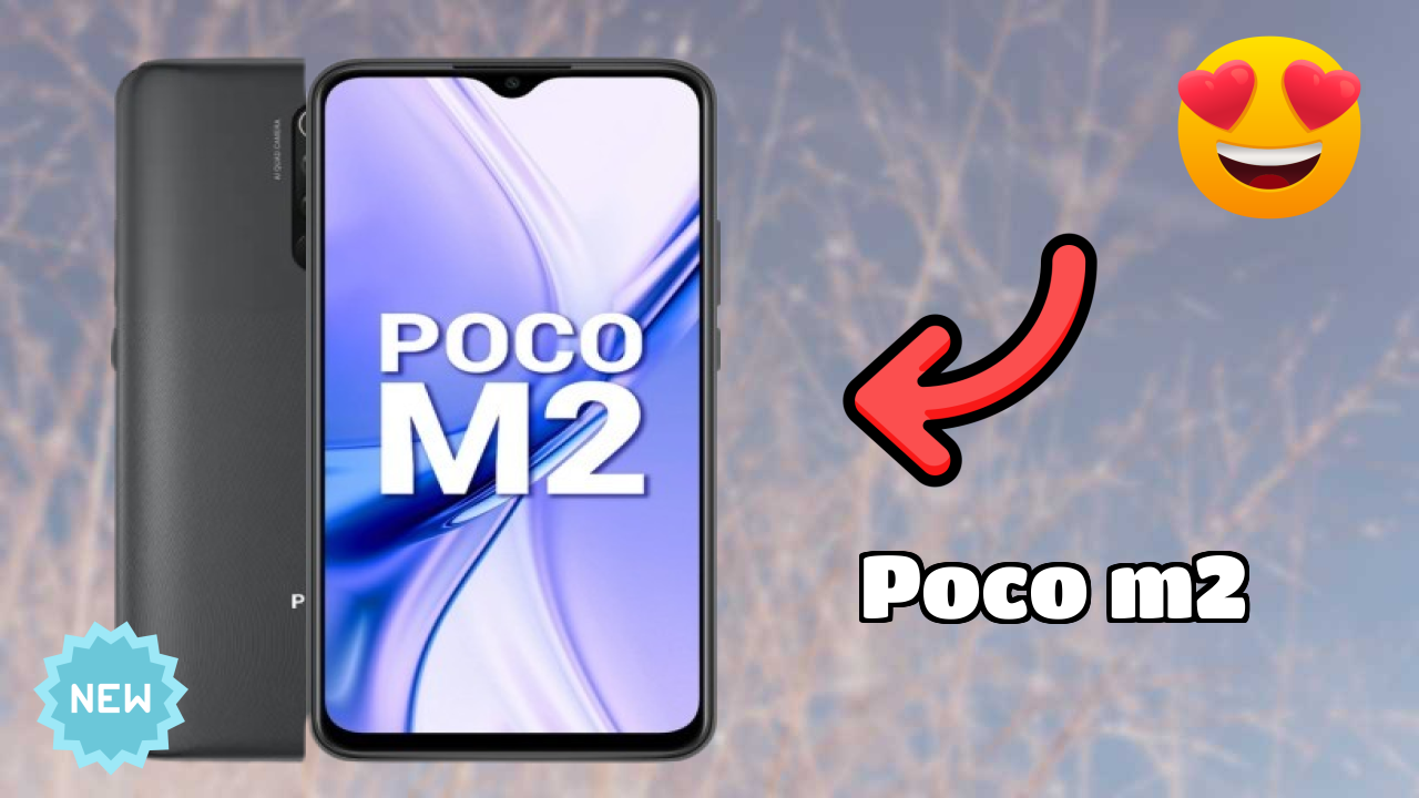 POCO M2 Camera Quality: 13 MP + 8 MP + 5 MP + 2 MP Rear Camera Samples
